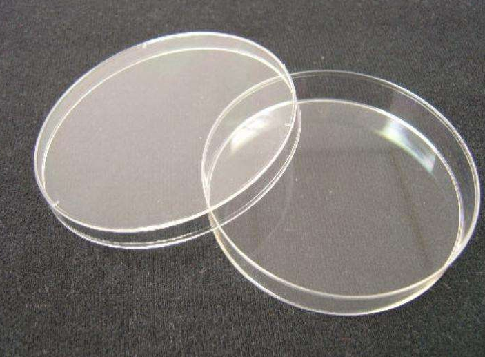 培養(yǎng)皿